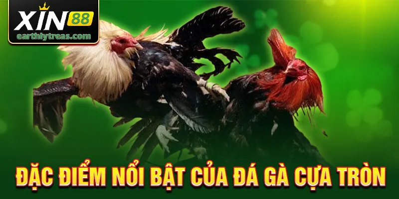 Ưu điểm nổi bật của đá gà cựa tròn